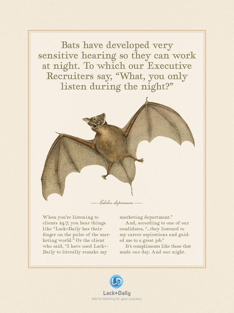 Lack+Daily Bat
