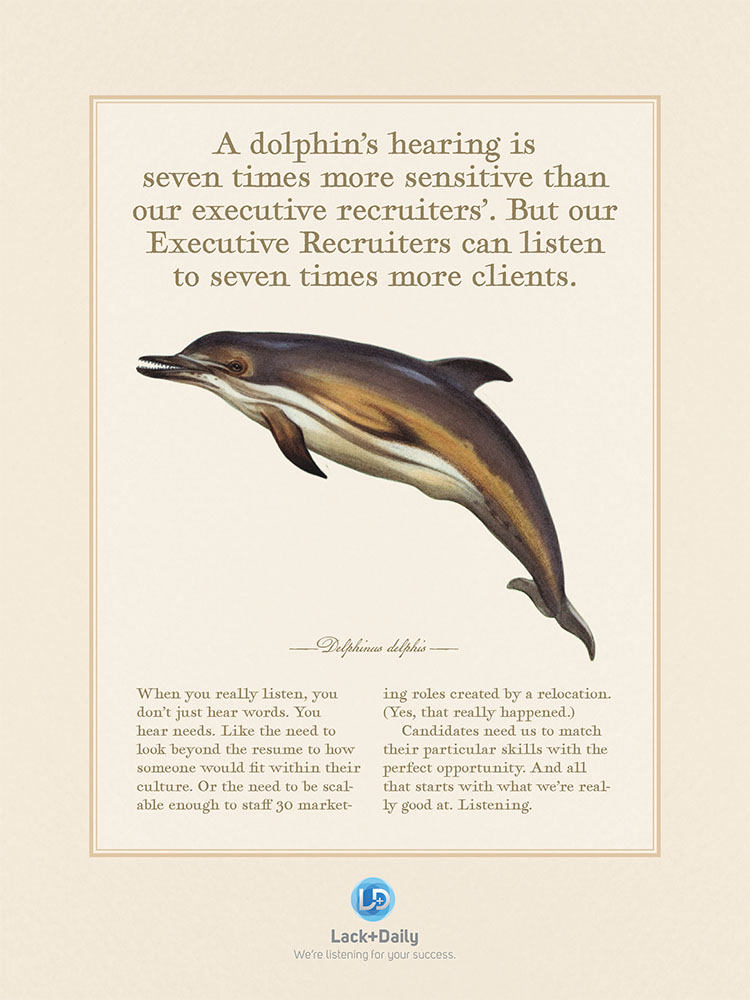 Lack+Daily Dolphin